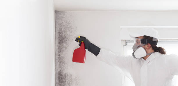 Best Bathroom Mold Remediation in Borger, TX