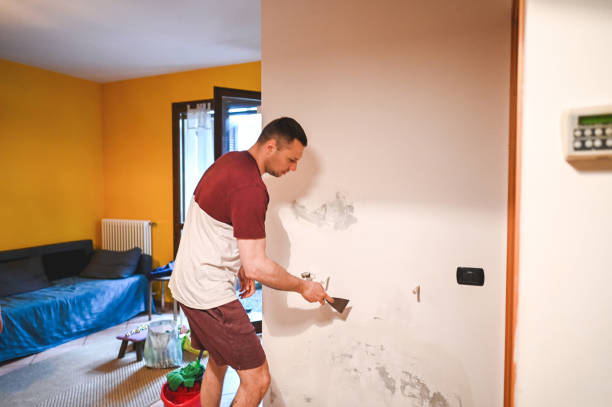 Best Black Mold Remediation in Borger, TX