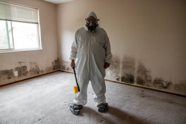 Best Residential Mold Remediation in Borger, TX